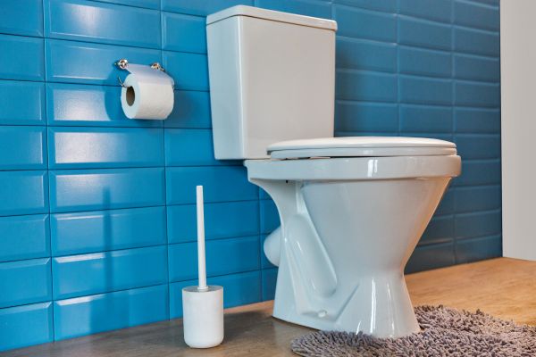 Toilet Tank Repair in North Ridgeville