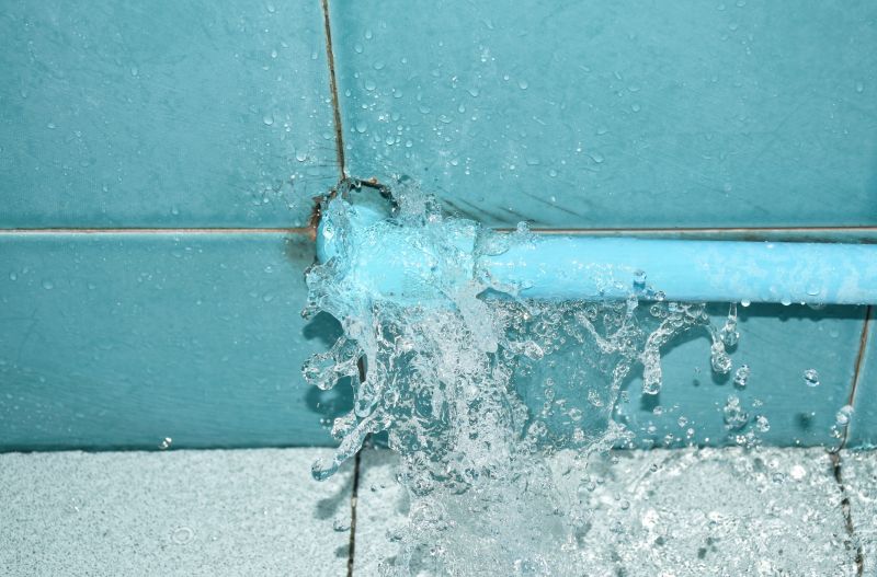 Leaky Shower Repair